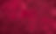 iStock-2222463100.jpg