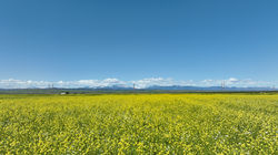 dji_fly_20250403_113912_882_1743736479127_photo