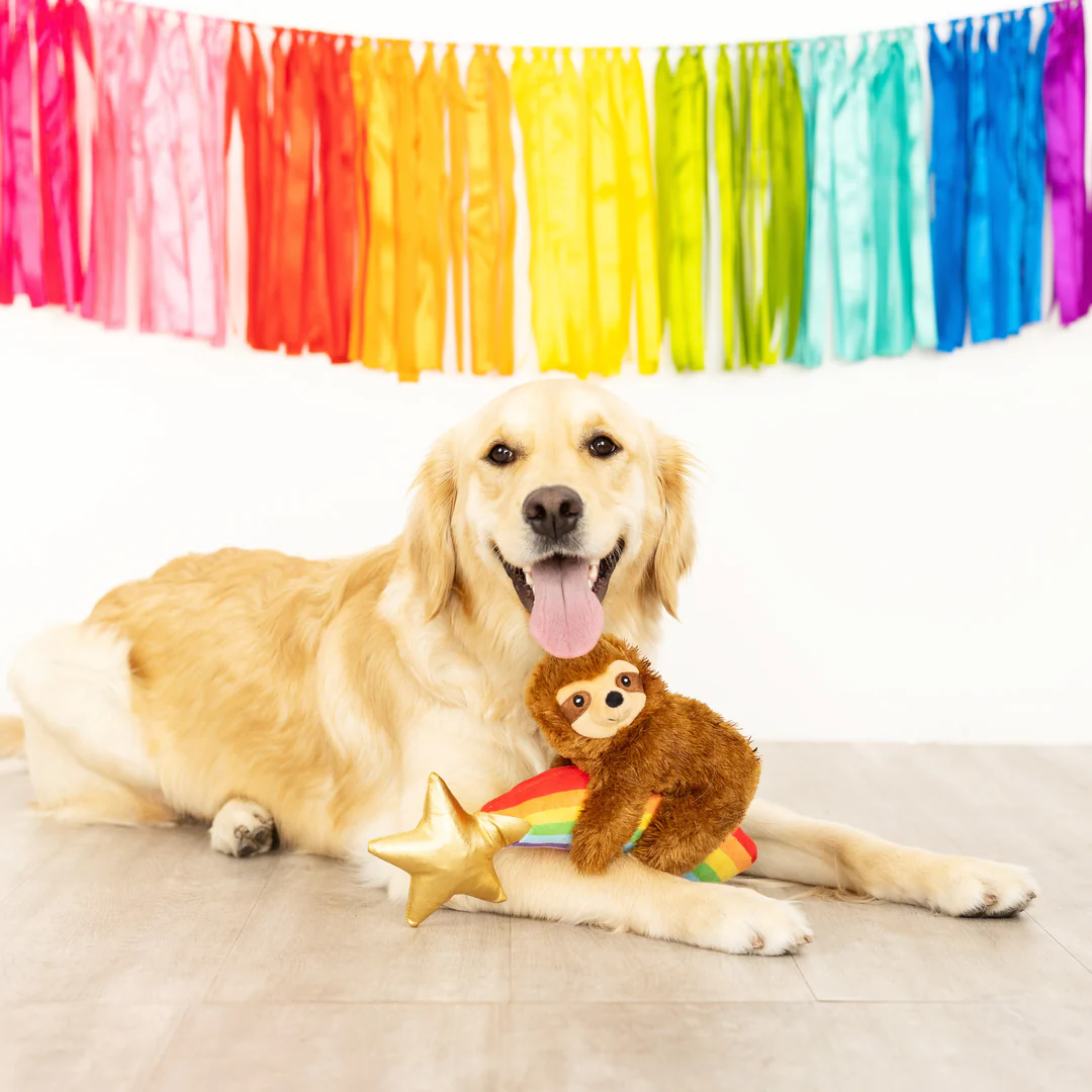 Fringe Studio "Rainbow high" hondenknuffel Absolutely Pawfect