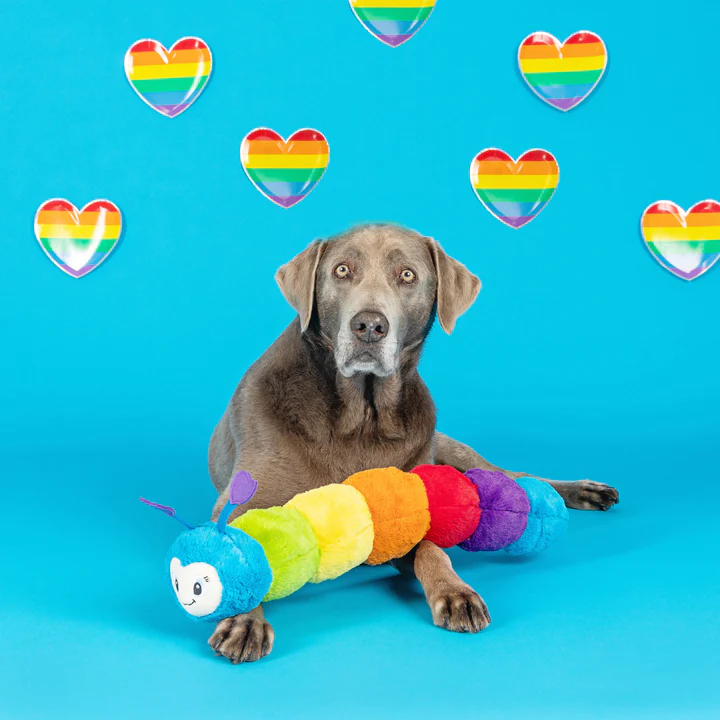 Absolutely Pawfect Belgisch merk voor honden(mama's)