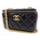 תמונה ממוזערת: CHANEL Vanity Bag Calfskin Leather Gold Buckle Chain Strap