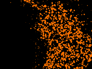 The Orange Economy: An Infinite Opportunity (2013)