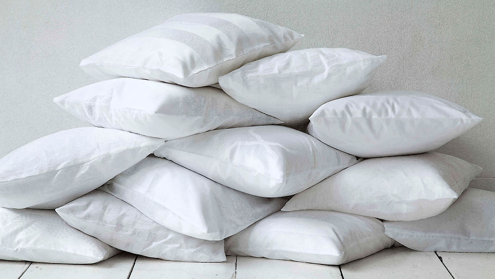 Pillows & Cushions
