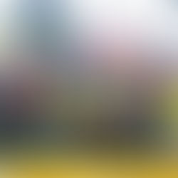 🏐IV Благодійний турнір з волейболу пам’яті Петрової Л.Г. відбувся у Тернівському районі