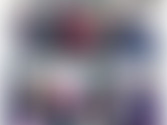 Міський конкурс «Urban Bird’s Care»