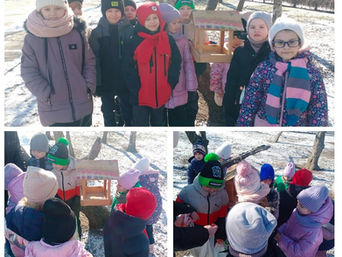 Міський конкурс «Urban Bird’s Care»