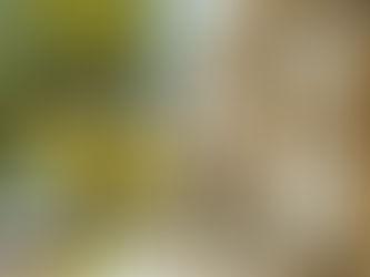 5 Ways To Finance Your Renovation