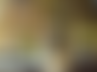 Home Loan Application Process Explained