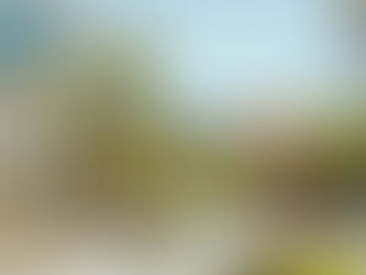 5 Reasons To Go House Hunting This Holiday Season