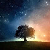 LGBT in Messianic Light