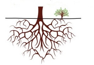 sucker-offset-drawing-no-tree.jpg