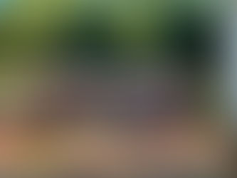 サイト内トイレ拡大!!