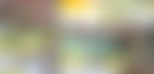 अररिया में NDA सरकार के खिलाफ राजद का हल्ला बोल: बढ़ती महंगाई, बेरोजगारी और गिरती कानून व्यवस्था के विरोध में महाधरना, सरकार को घेरा