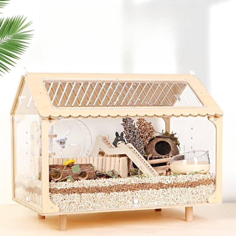 Wooden and acrylic hamster house with a wheel, slide, and natural decor. Set against a bright wall with a green plant on the left.