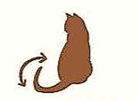 Illustration of a brown cat sitting with an arrow indicating tail movement. Simple white background. Calm and instructional vibe.