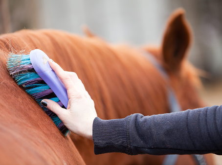 the image shows a person combing a horse gently.
