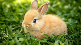 A tiny orange rabbit nestled peacefully among the lush, vibrant blades of green grass