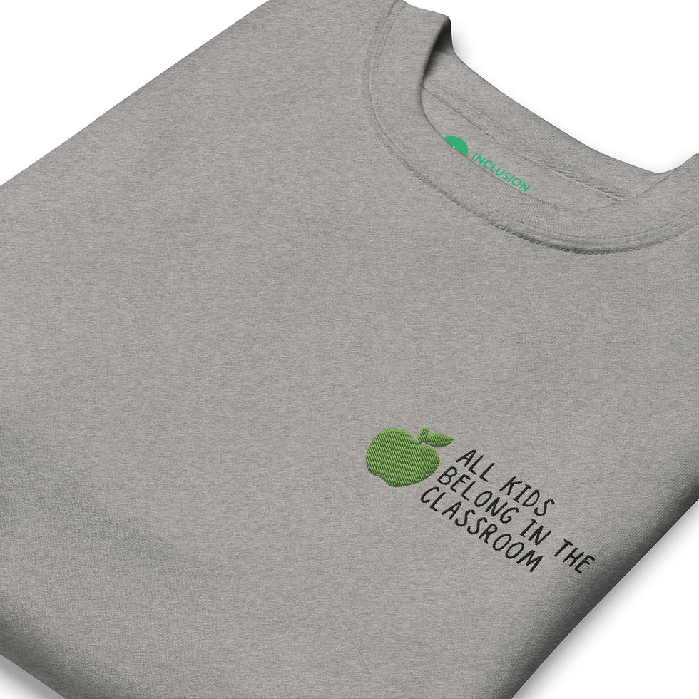 Thumbnail: All Kids Belong In The Classroom crewneck (light)