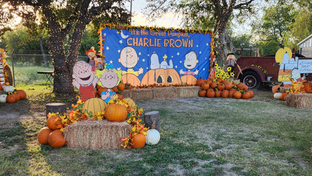 Rio Grande City’s Official Pumpkin Patch Opens to the Public