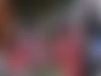 Rio Grande City to Host Annual Christmas Tree Lighting on December 4