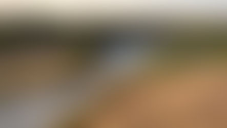 Border Patrol Agents Rescue, Resuscitate Infant Near Roma