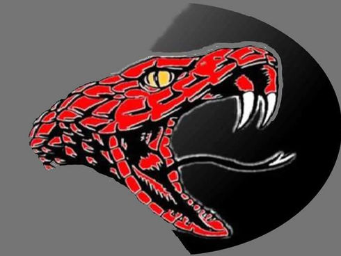 Rattlers Come Up Short 4-2 Against Palmview as Lobo Pitcher Registers 12 Strikeouts