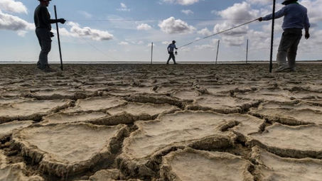 UTRGV Professor Studies How Climate Change will Soon Impact the Rio Grande Valley