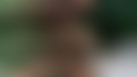 RGC Fresh Christmas Tree Disposal Available Jan. 8-9