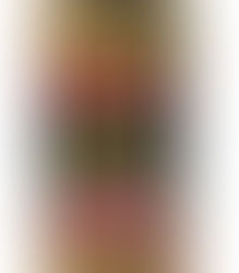 H-E-B Issues Precautionary Recall for Sliced Olives Product