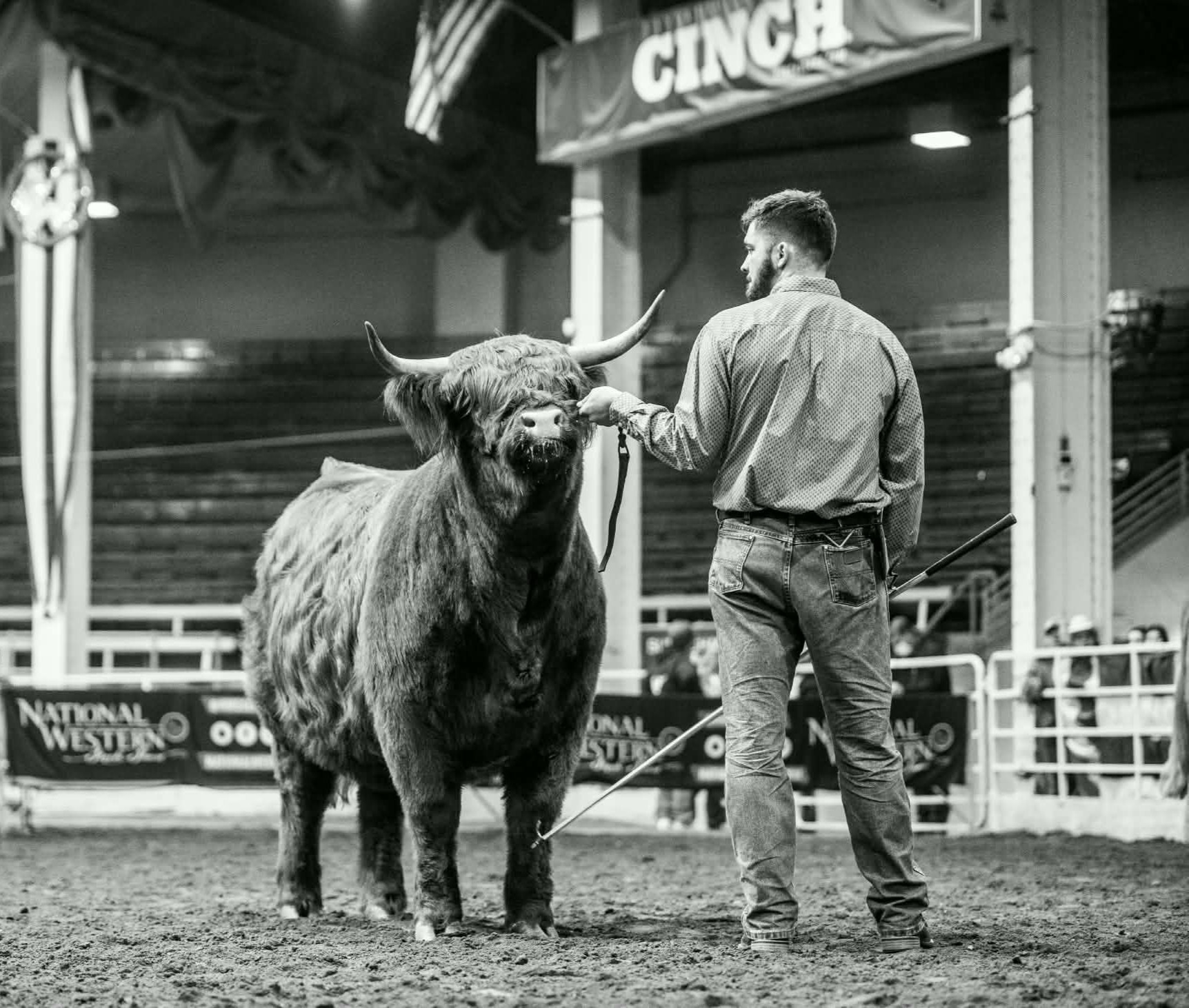 SEMEN: Circle V Grizzly Rose (ET, PV, D) 69118US - AUSTRALIA ONLY