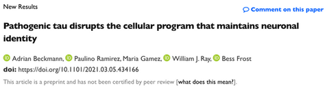 Research article titled "Pathogenic tau disrupts the cellular program that maintains neuronal identity."