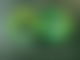 Closing the Loop on Compostable Packaging