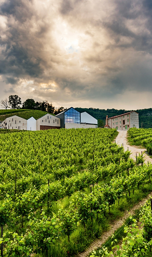 Screenshot 2024-11-21 at 8.19.05 PM.png