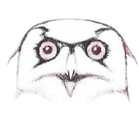 Screenshot 2024-10-02 at 4.16_edited.png