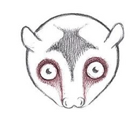 Screenshot 2024-10-02 at 4.17.30 PM.png