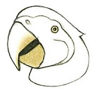 Screenshot 2024-10-02 at 4.17.38 PM.png