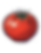 a single tomato .png