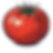 a single tomato .png