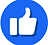 Facebook icon