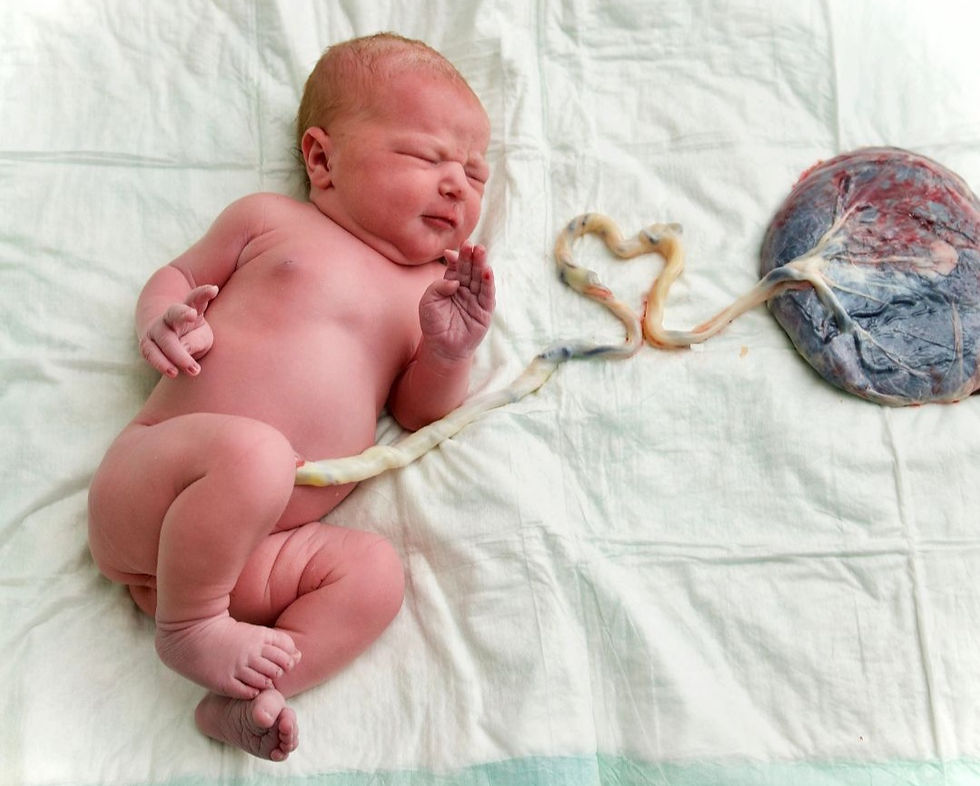 Placenta Encapsulation