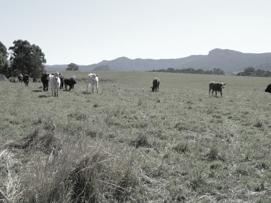 Conventional food systems are broken, so how do we avoid food insecurity?
