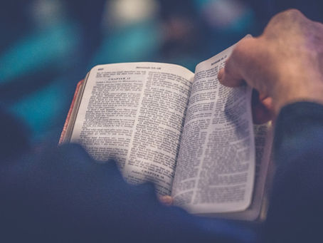 Daily Inspiration: The Lord Is My Shepherd — Psalm 23