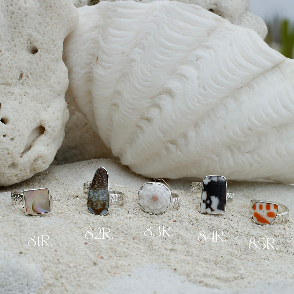 Silver shell rings from Mentawai Islands