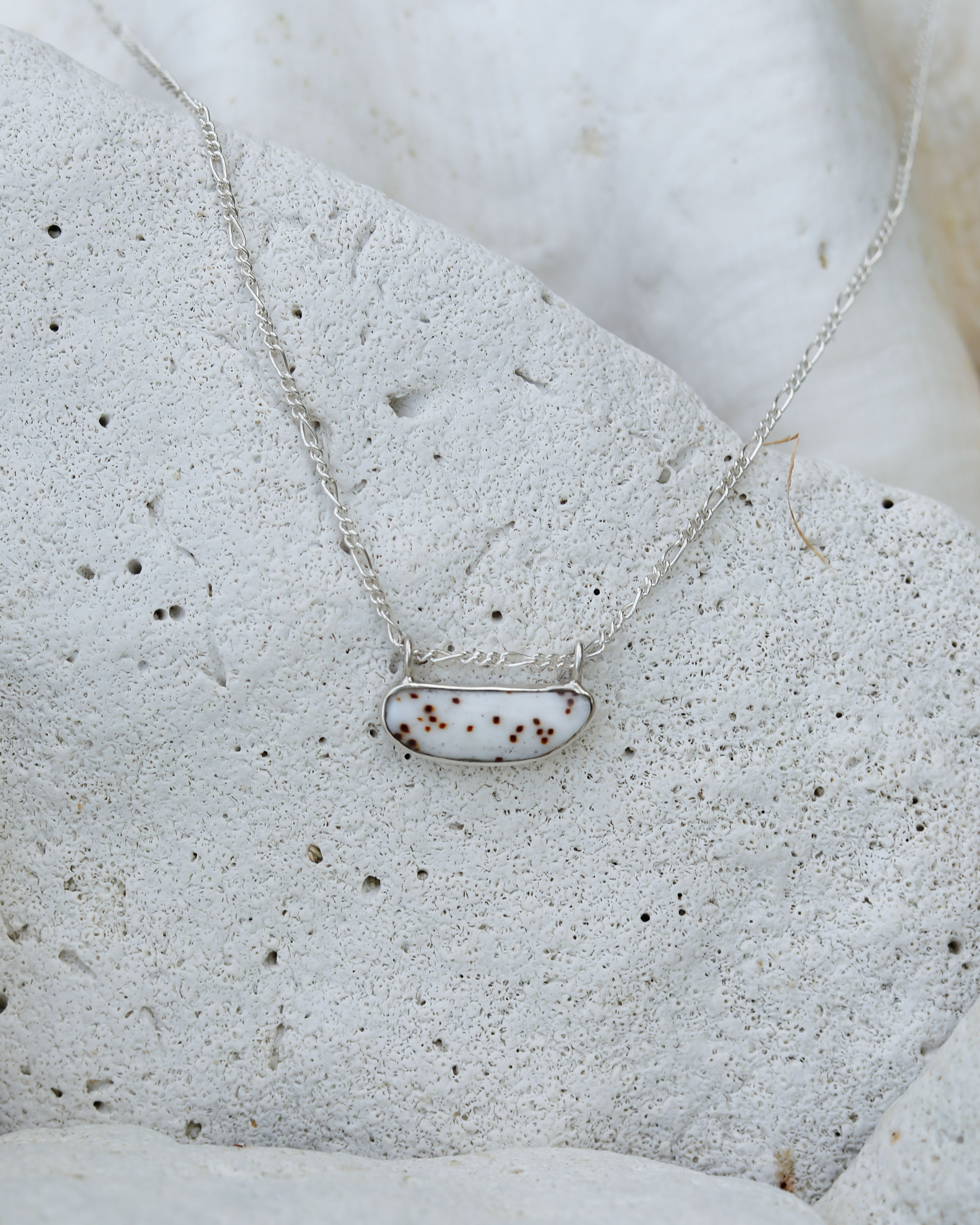 Silver Shell Necklace