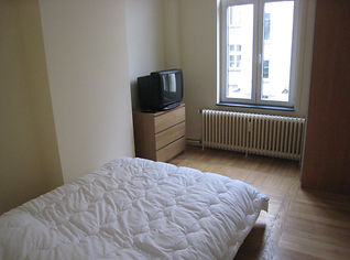 AV1garden-7.JPG