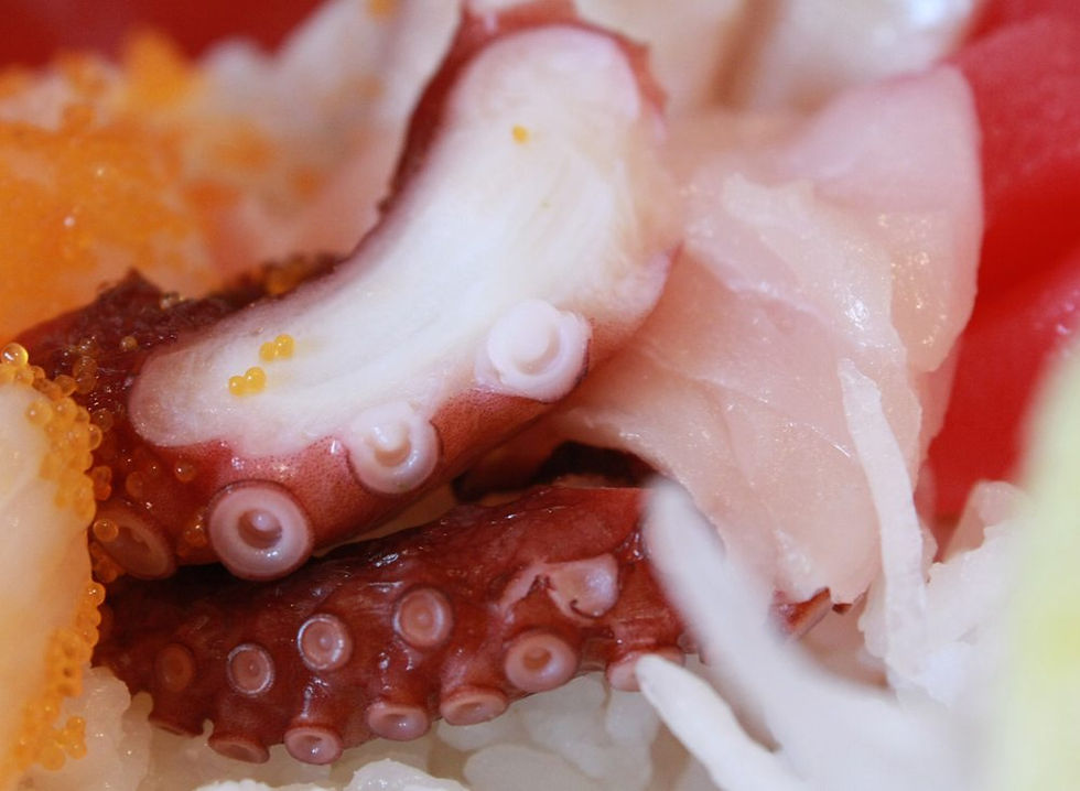 Chirashi- Tako