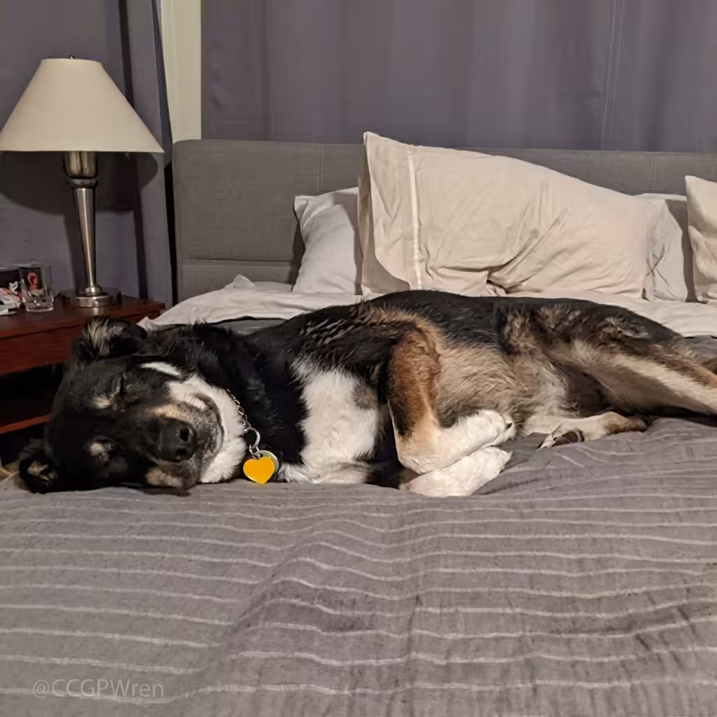 overnight in-home care