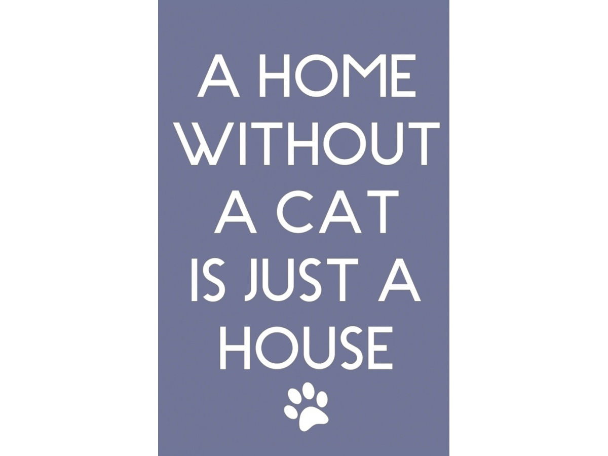 "A Home without a Cat" Grey Fridge Magnet