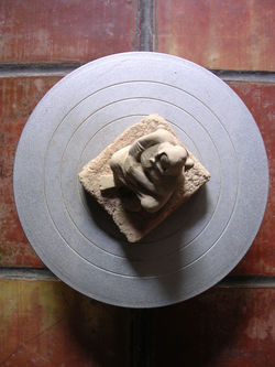 ''Abuelas'' (PLANTA).