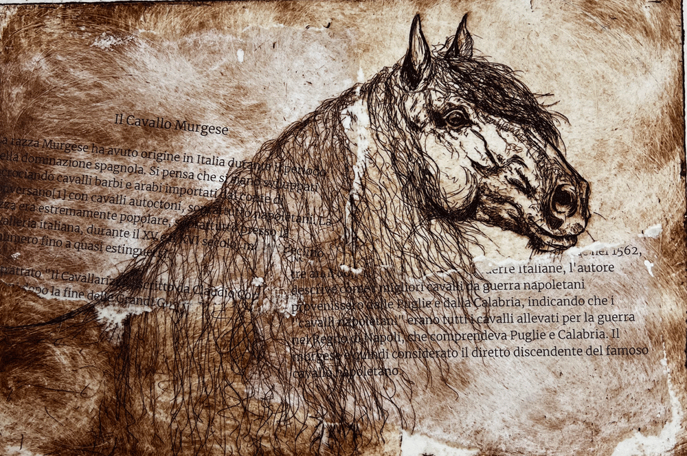 MurgeseHorsePrint.gif